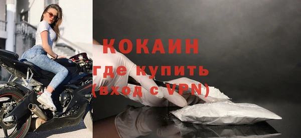 молекула духа Ростов